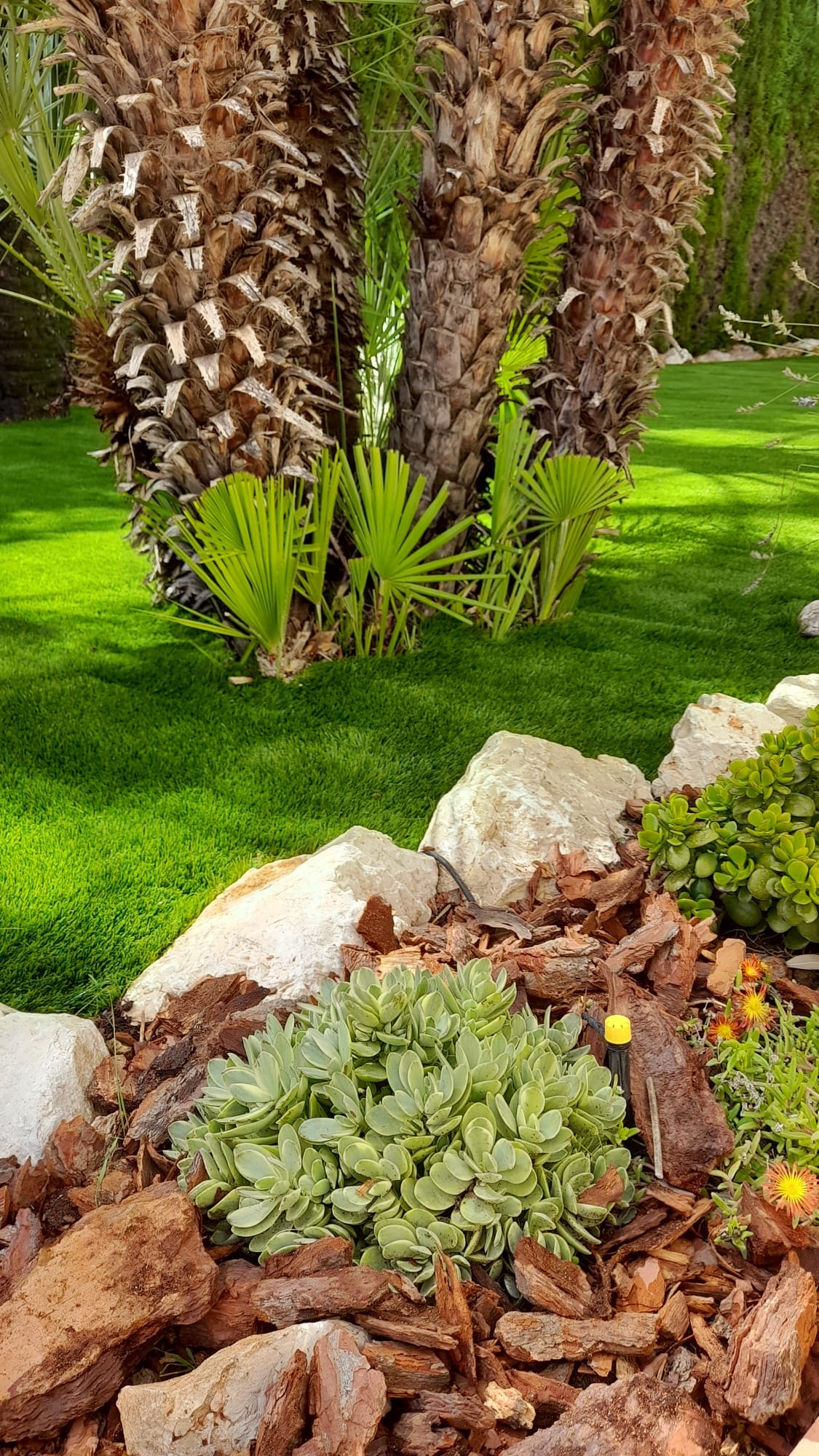 Luxury Mediterranean garden design outdoor living