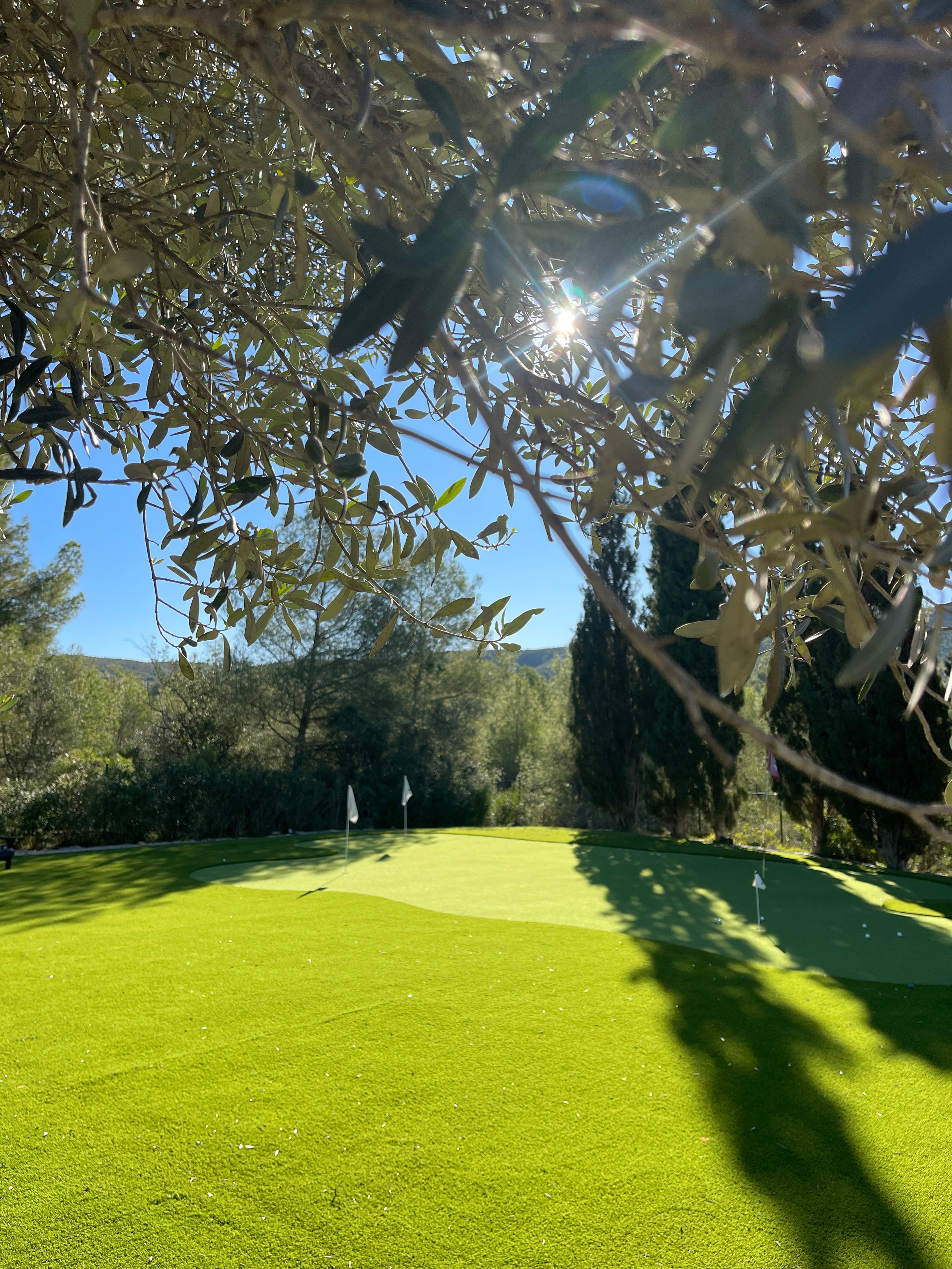 Home golf area with artificial grass Spain