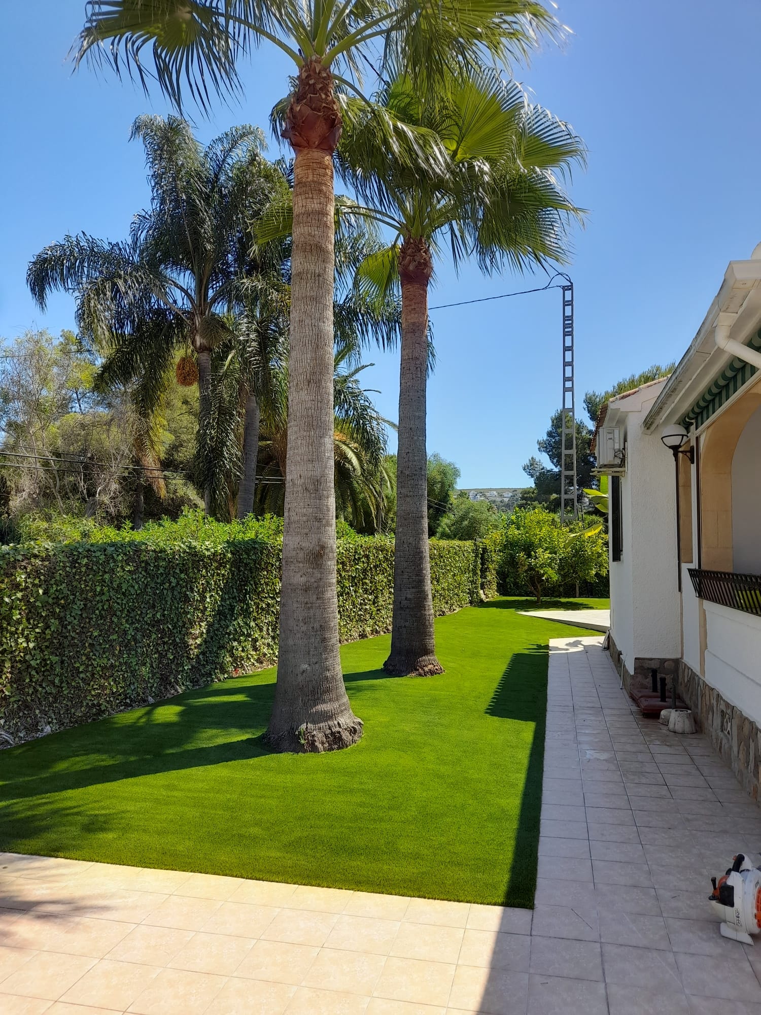 Villa garden artificial grass with tall palms Spain