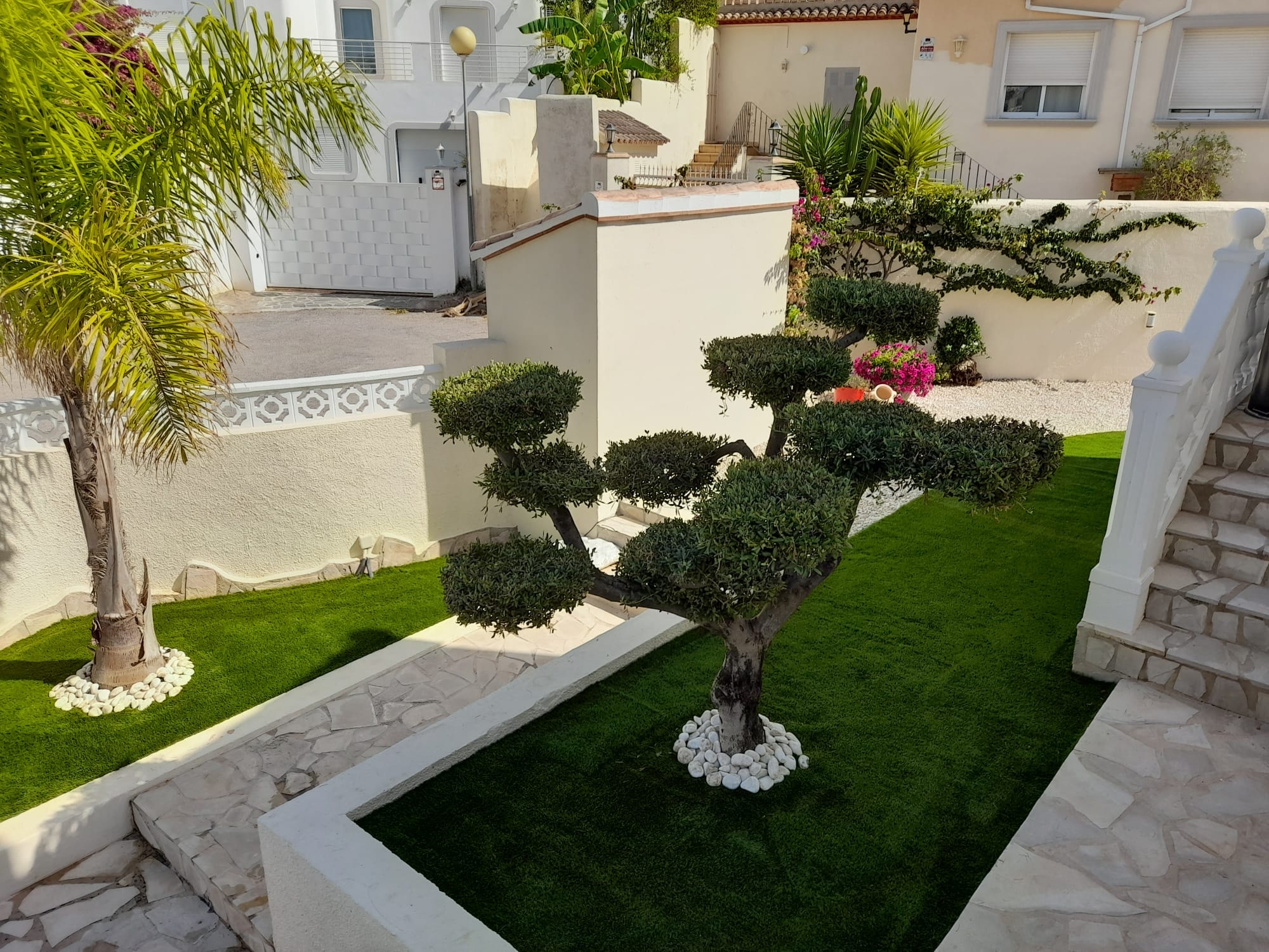 Sculpted topiary tree in artificial grass front garden Spain