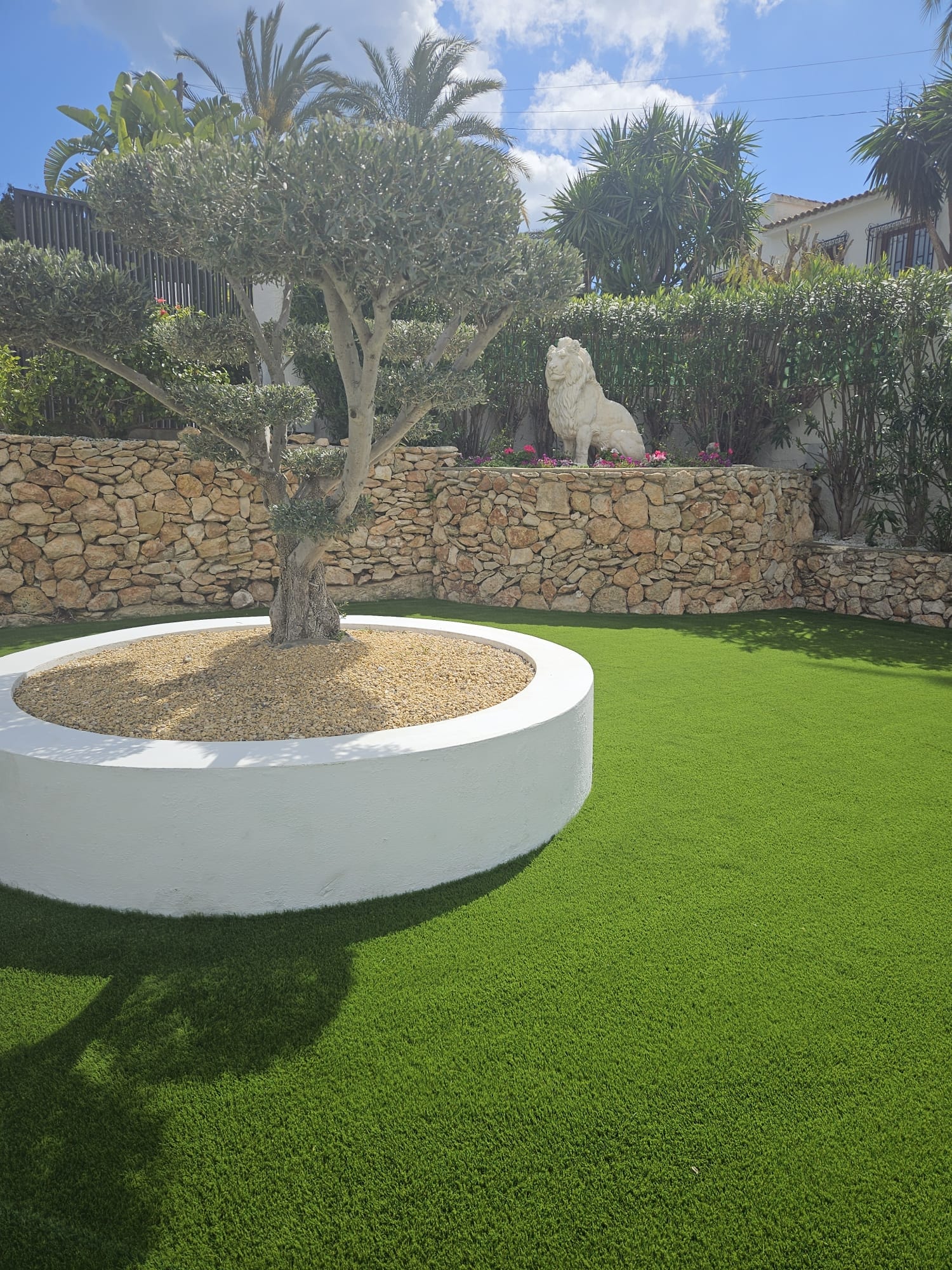 Circular white planter with olive tree in artificial grass garden Spain