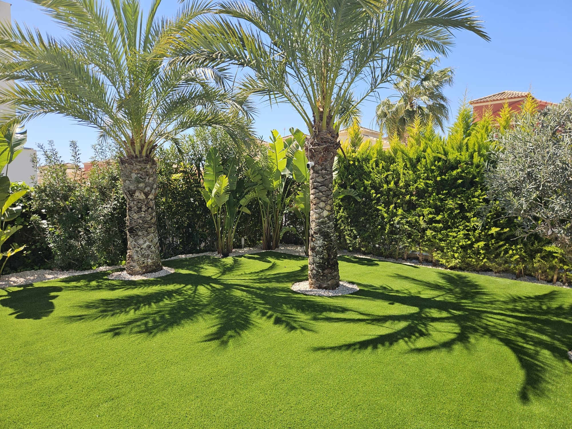 Palm tree garden with artificial grass and white gravel borders Spain