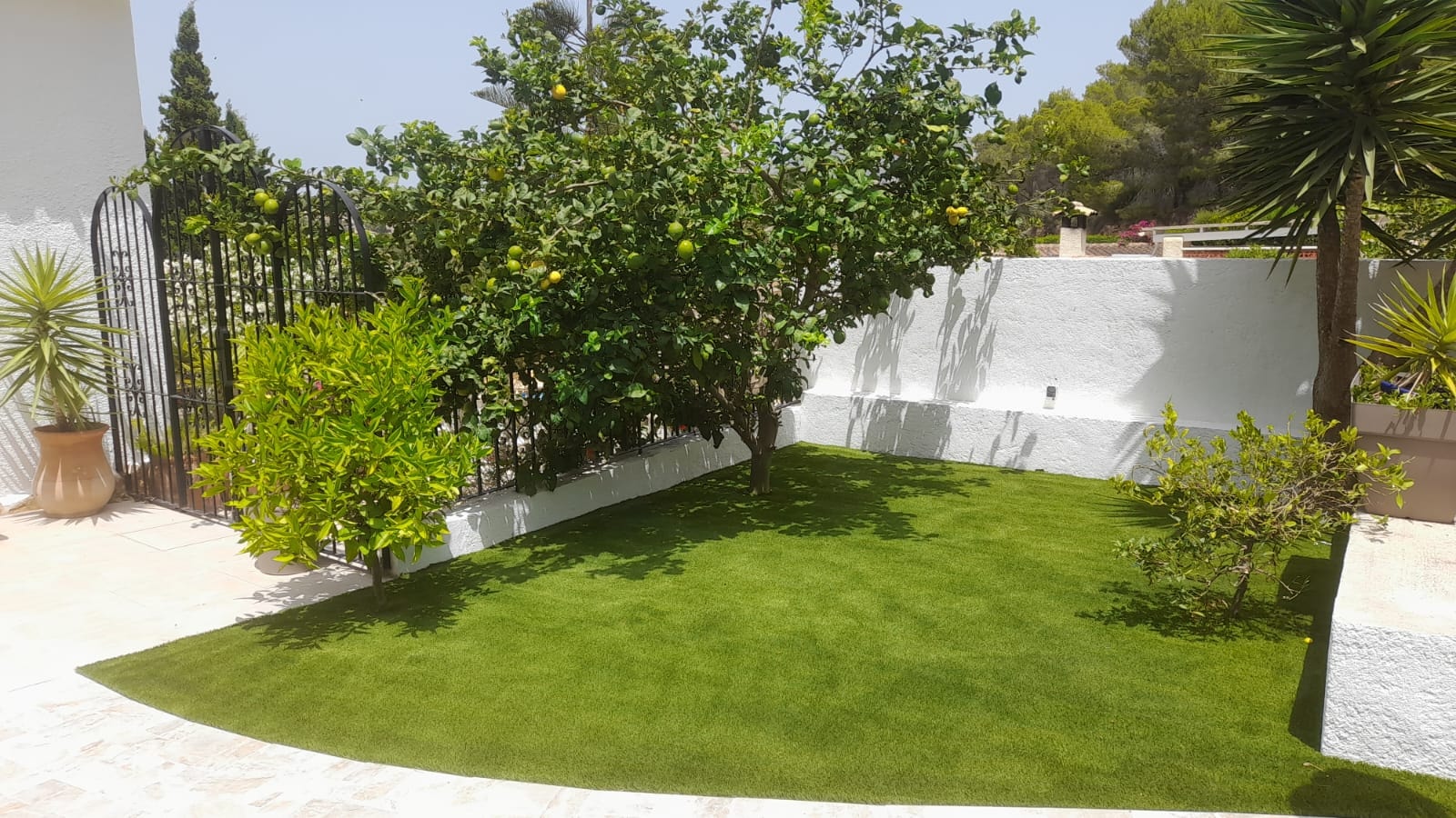 Front garden with lemon trees and artificial grass Spain