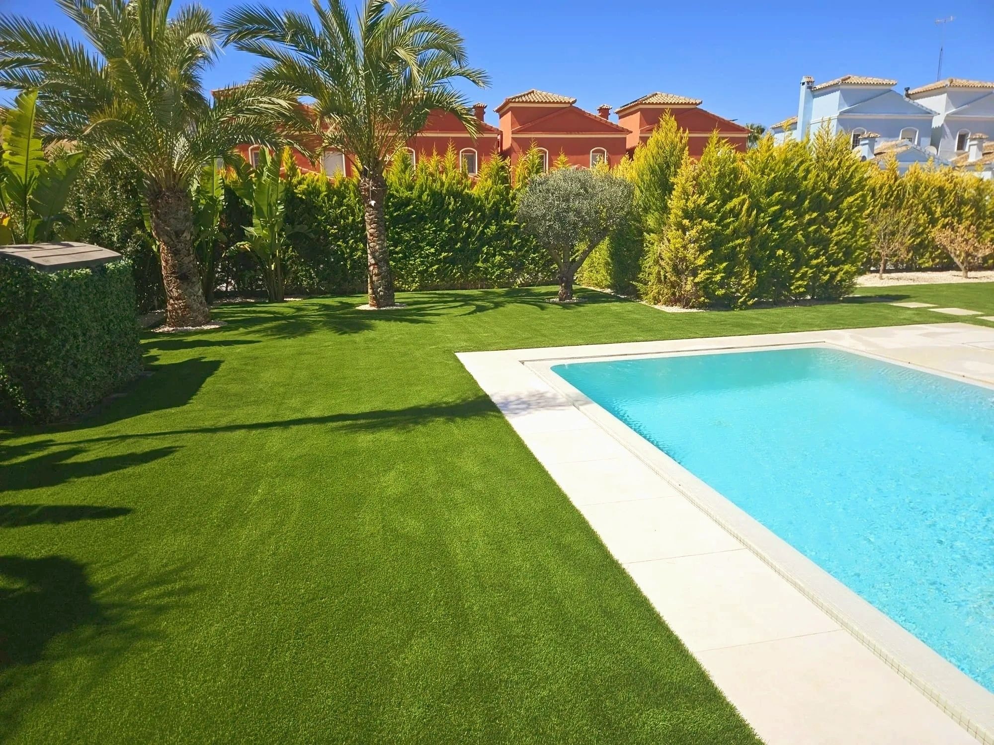 Freeform pool with artificial grass and palm tree Spain