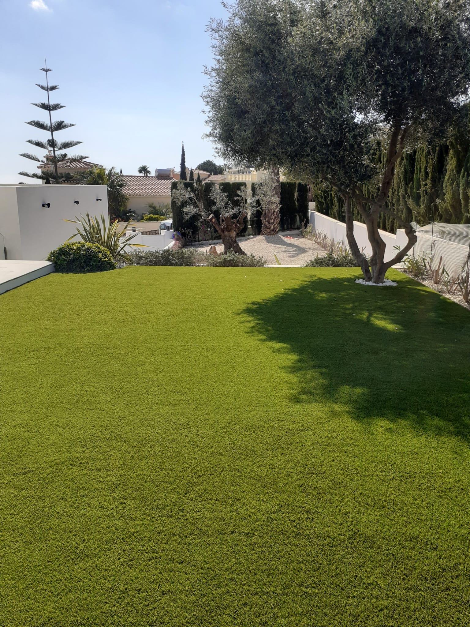 Large artificial grass garden with olive tree Costa Blanca